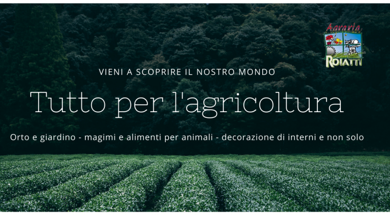  Offerta sementi per orto garantite in vendita a Udine – Vendita mangimi per animali a Udine