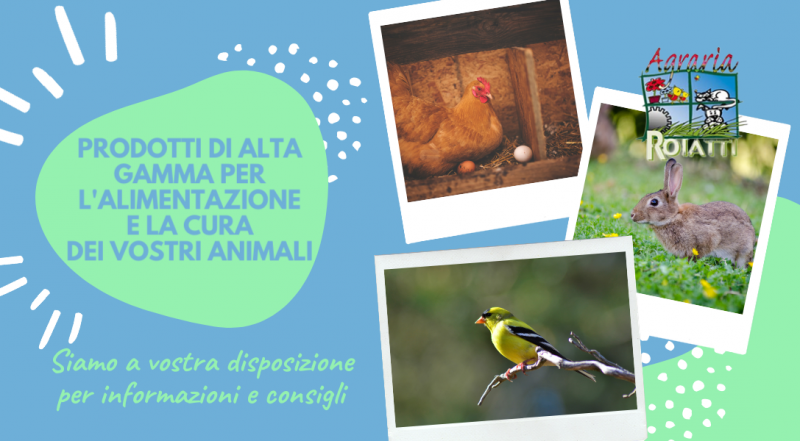  Vendita mangimi per animali da cortile a Udine – Occasione vendita cibo per cani e gatti di alta qualità a Udine
