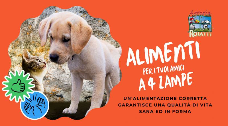  Vendita cibo per cani e gatti a Udine – Offerta alimenti cibo e secco per cani e gatti a Udine