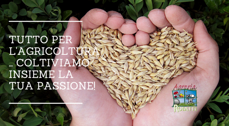   Vendita di concimi, terricci e sementi a Udine – occasione vendita tutto per l’orto sementi per l’orto in vendita a Udine