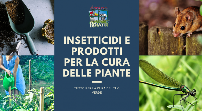  Occasione accessori per il giardinaggio o insetticidi in vendita a Udine – Vendita vivaio a Udine