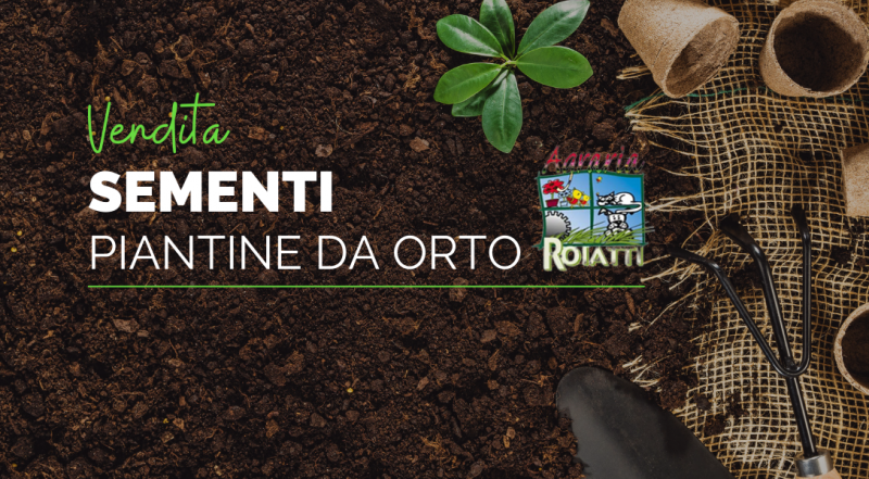 Offerta vendita concimi terricci sementi per agricoltura Udine – occasione vendita tutto per orto Udine