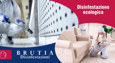  occasione disinfestazione ecologica di insetti cosenza promozione disinfestazione insetti alati e striscianti cosenza