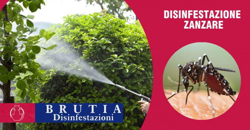   OFFERTA SERVIZIO COMPLETO DISINFESTAZIONE ZANZARE COSENZA – PROMOZIONE ZANZARE SERVIZIO DISINFESTAZIONE COSENZA