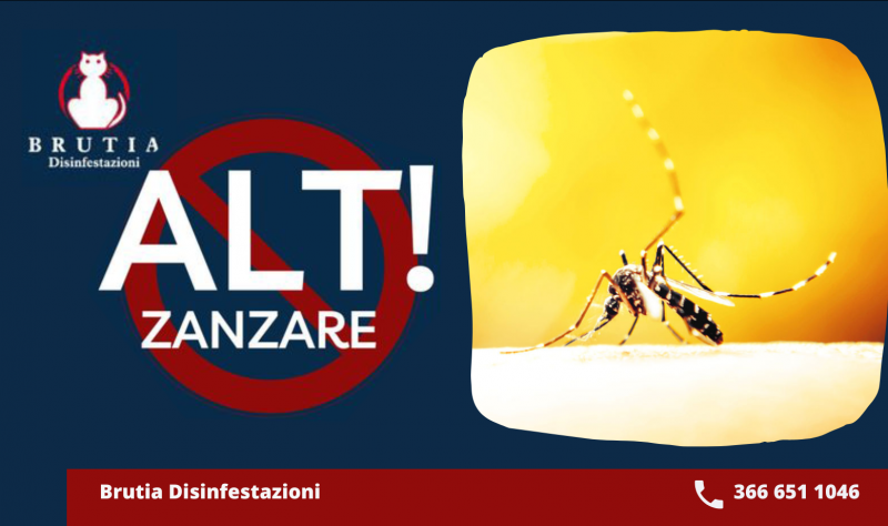 Offerta Servizi Professionali di Disinfestazione Zanzare Casa