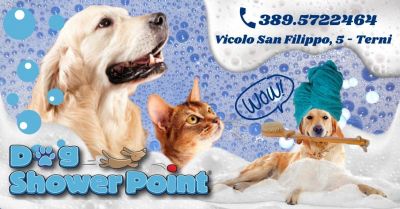 offerta lavaggio self service per cani terni occasione toelettatura cani fai da te terni