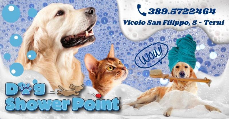 Offerta lavaggio self service per cani Terni - Occasione toelettatura cani fai da te Terni