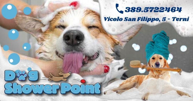 Offerta Servizio tosatura cane professionale Terni - Occasione Servizio toeletta self service Terni