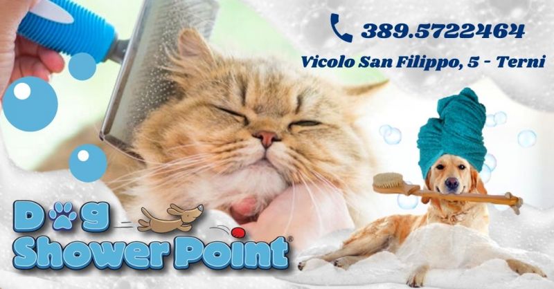 Offerta Servizio taglio unghie cani gatti - Occasione Toelettatura professionale per cani gatti Terni