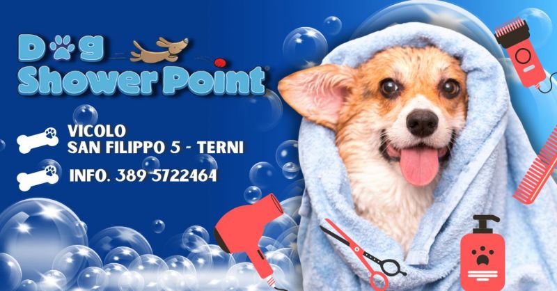 Offerta dove lavare il cane self service attrezzato