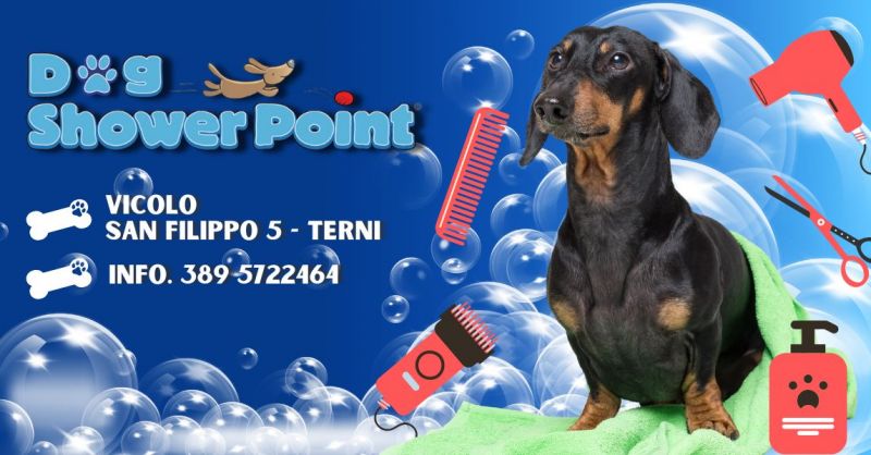 Promozione trova toelettatura per cani con operatore professionale