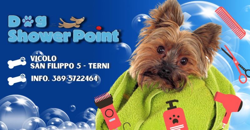 Offerta servizio professionale tosatura cane vicino a me