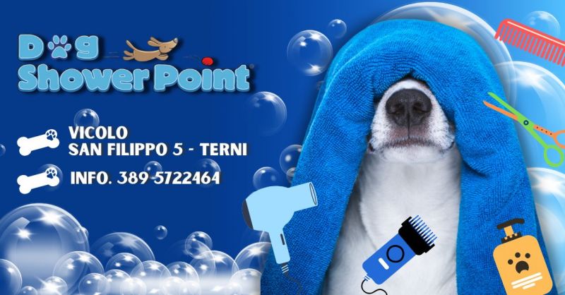 Toelettatura cani self service