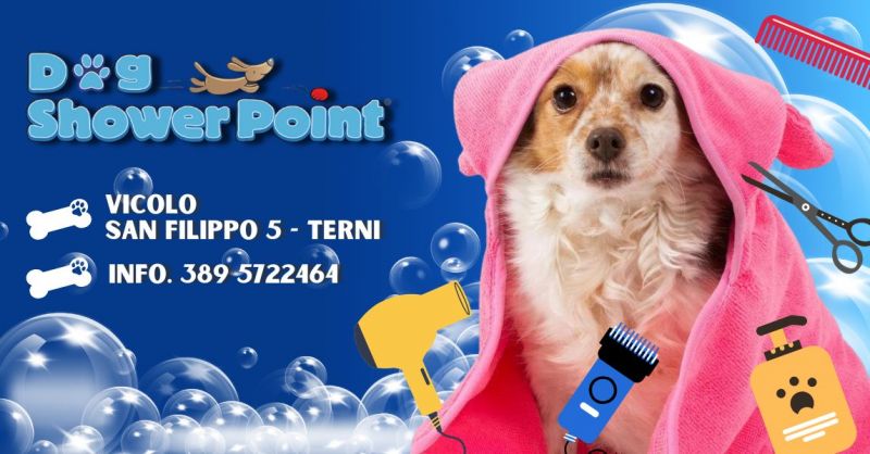 La migliore toelettatura professionale con operatore