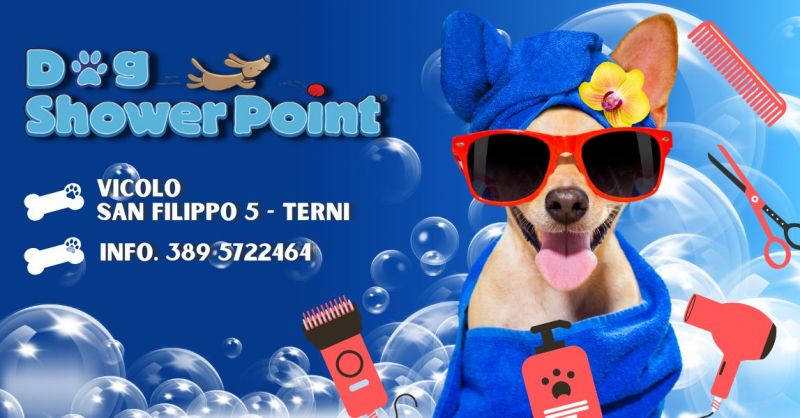 Servizio di toeletta professionale per animali