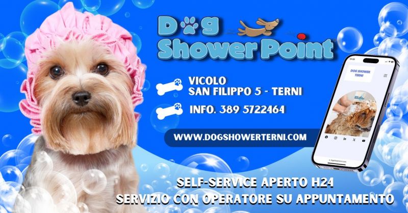 La migliore toelettatura per cani vicino