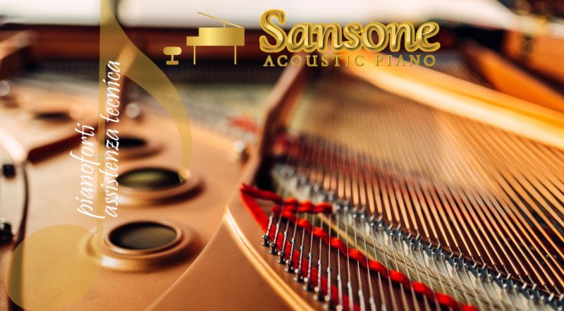 OFFERTA ASSISTENZA TECNICA PIANOFORTI COSENZA - PROMOZIONE ACCORDATURA A DOMICILIO PIANOFORTI COSENZA