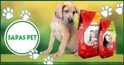 offerta crocchette per cani senza cereali promozione mangime per cani linea procane