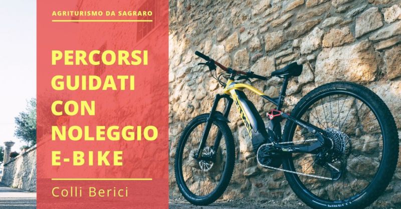  AGRITURISMO DA SAGRARO - Occasione servizio e-bike con guida esperta percorsi Colli Berici
