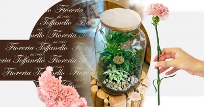 occasione terrarium per arredare e giardini sotto vetro idea regalo vicenza