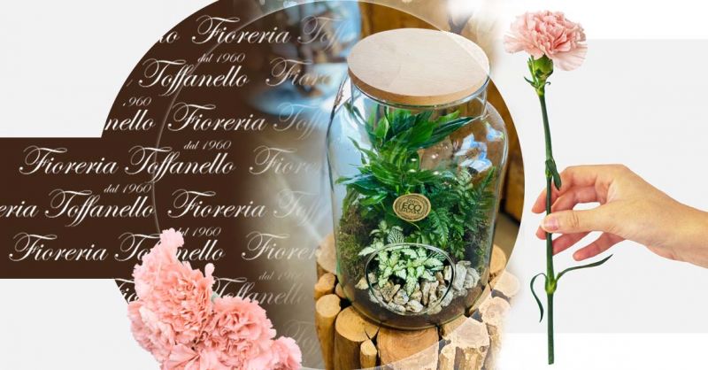 Terrarium piante in vetro vendita online