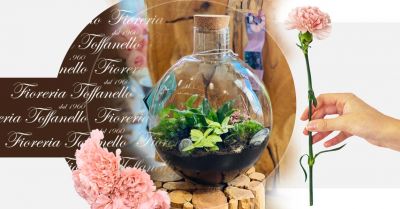 occasione terrarium chiuso in vetro con tappo di sughero vicenza