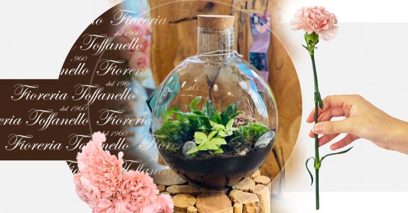 Occasione  terrarium chiuso in vetro con tappo di sughero Vicenza