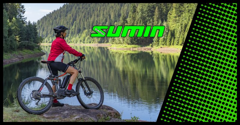CICLI SUMIN DARIO - Offerta Mountain Bike Con Pedalata Assistita Torino