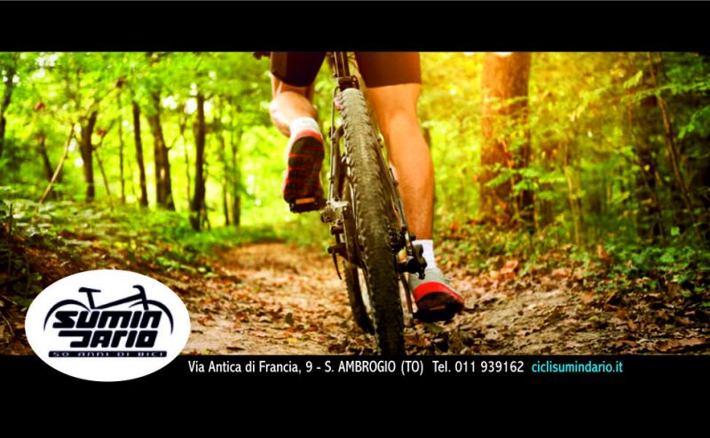 offerta noleggio mountain bike torino - occasione noleggio ebike torino