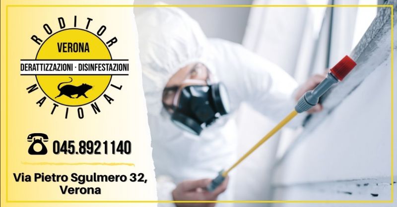 RODITOR NATIONAL - Offerta servizio professionale sanificazione ambienti interni provincia Verona Mantova