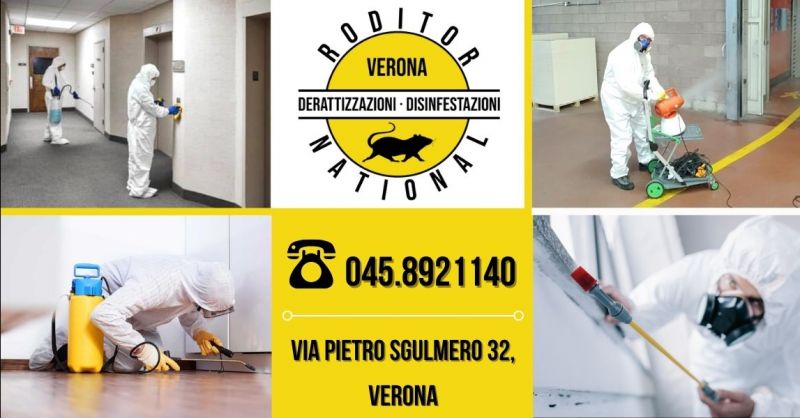 RODITOR NATIONAL - Offerta servizio professionale di sanificazione ambienti interni provincia Mantova