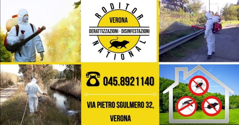 Offerta professionisti disinfestazione insetti animali infestanti in ambienti esterni provincia Mantova