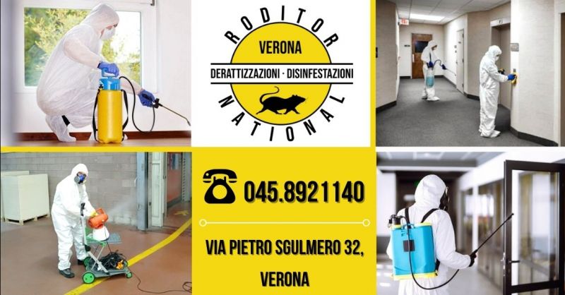 Offerta sanificazione professionale ambienti alimentari - Occasione servizio igienizzazione professionale provincia Verona