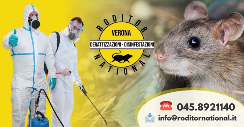 Offerta Servizio disinfestazione topi in casa - Promozione trova disinfestatore topi a Verona