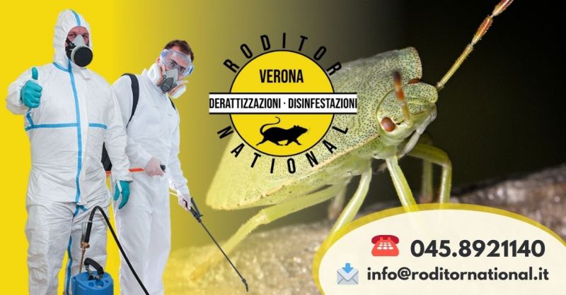 Offerta trova ditta disinfestazione cimici verdi - Occasione Disinfestatore cimici verdi a Verona