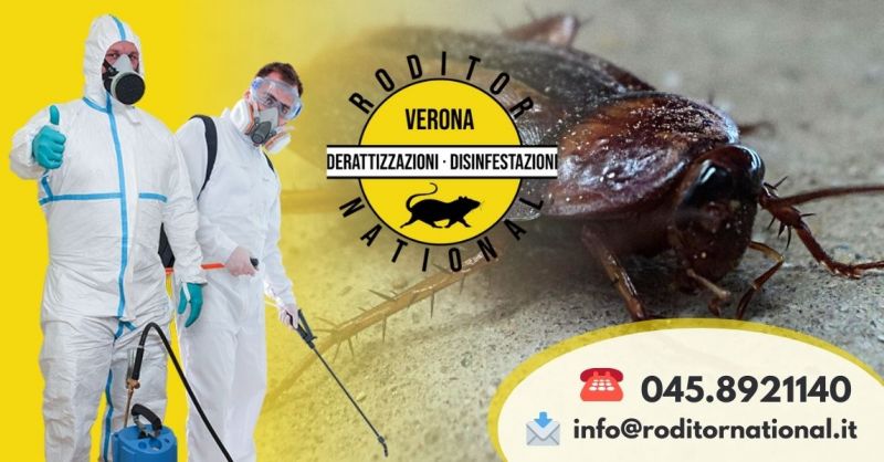 Offerta come eliminare le blatte in casa Verona - Occasione servizio disinfestazione scarafaggi a Verona