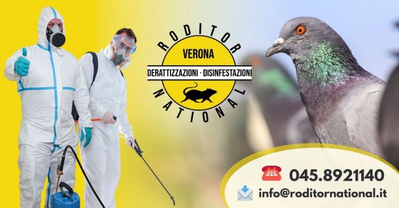 Offerta servizio professionale allontanamento uccelli - Offerta sistemi di allontanamento volatili Mantova