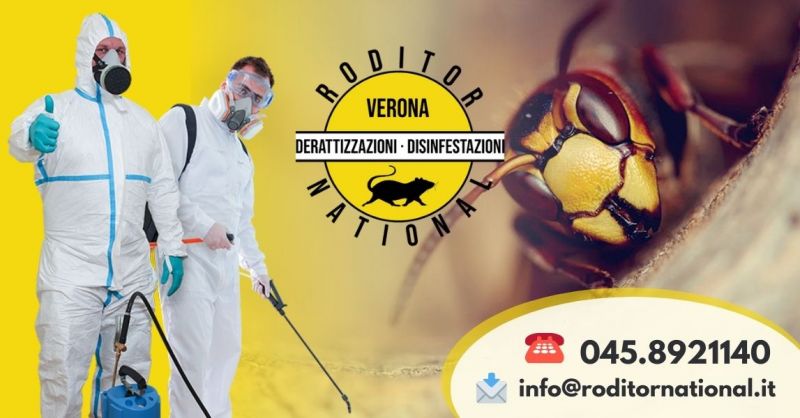 Offerta Disinfestazione nidi di vespe calabroni - Occasione trova azienda di disinfestazione Mantova