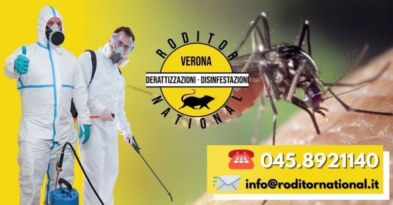 Offerta Disinfestazione professionale zanzare giardino - Offerta Servizio eliminazione zanzare Mantova