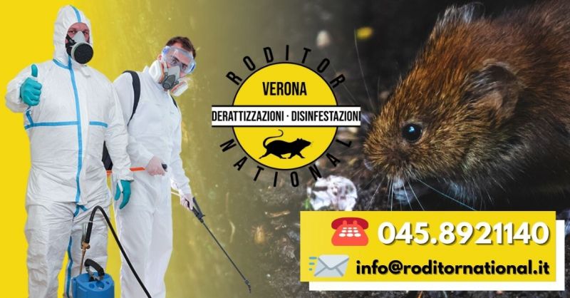 Offerta Disinfestazione topi tetto Mantova - Occasione Professionista disinfestazione topi Mantova