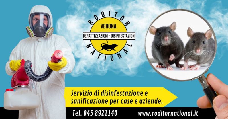 Offerta servizio professionale di derattizzazione - Occasione trova impresa disinfestazione ratti