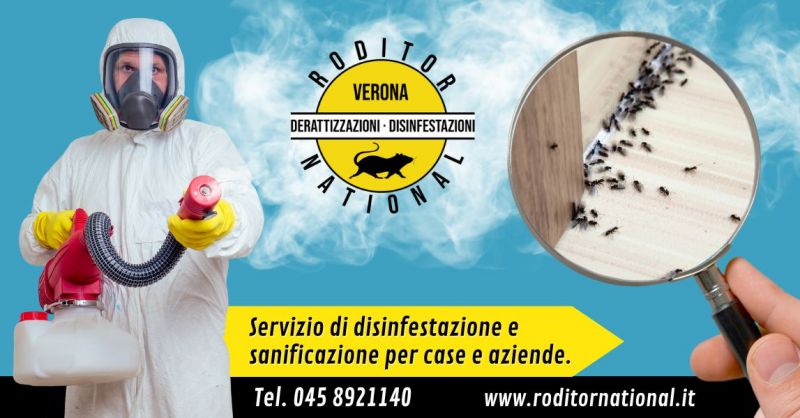 Offerta servizio disinfestazione formiche - Occasione soluzione per infestazione formiche Mantova