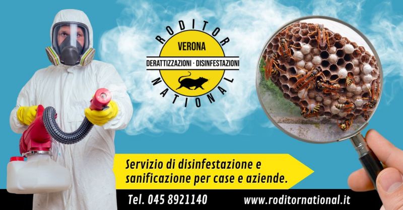 Offerta come eliminare la processionaria - Occasione professionista disinfestazione vespe Mantova