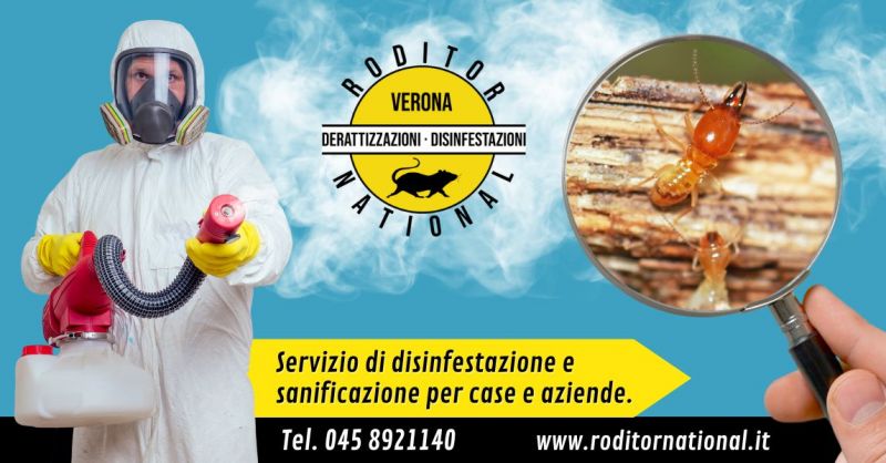 Offerta come eliminare tarli del legno - Occasione disinfestazione termiti del legno Mantova