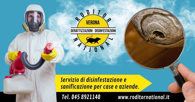 Offerta servizio professionale disinfestazione rimozione nidi vespe calabroni Verona e limitrofi
