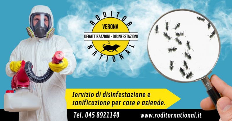 Occasione trova soluzione professionale per disinfestazione formiche in casa Mantova
