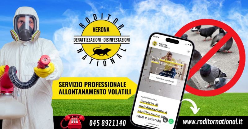 Servizio professionale di allontanamento volatili piccioni