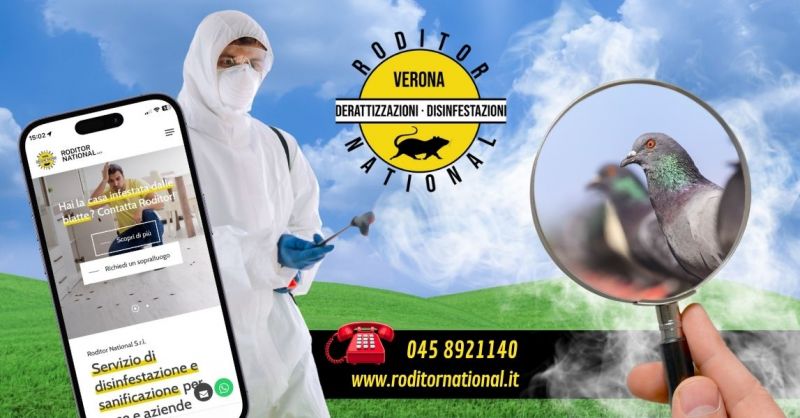 I migliori sistemi per allontanare volatili infestanti provincia