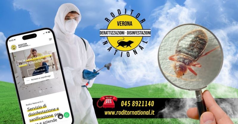 Disinfestazione professionale cimici dei letti provincia