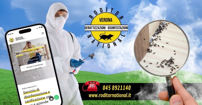 Azienda specializzata disinfestazione formiche provincia